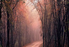 乐鱼体育娱乐-波兰女足国家队积极备战国际友谊赛，波兰女足图片