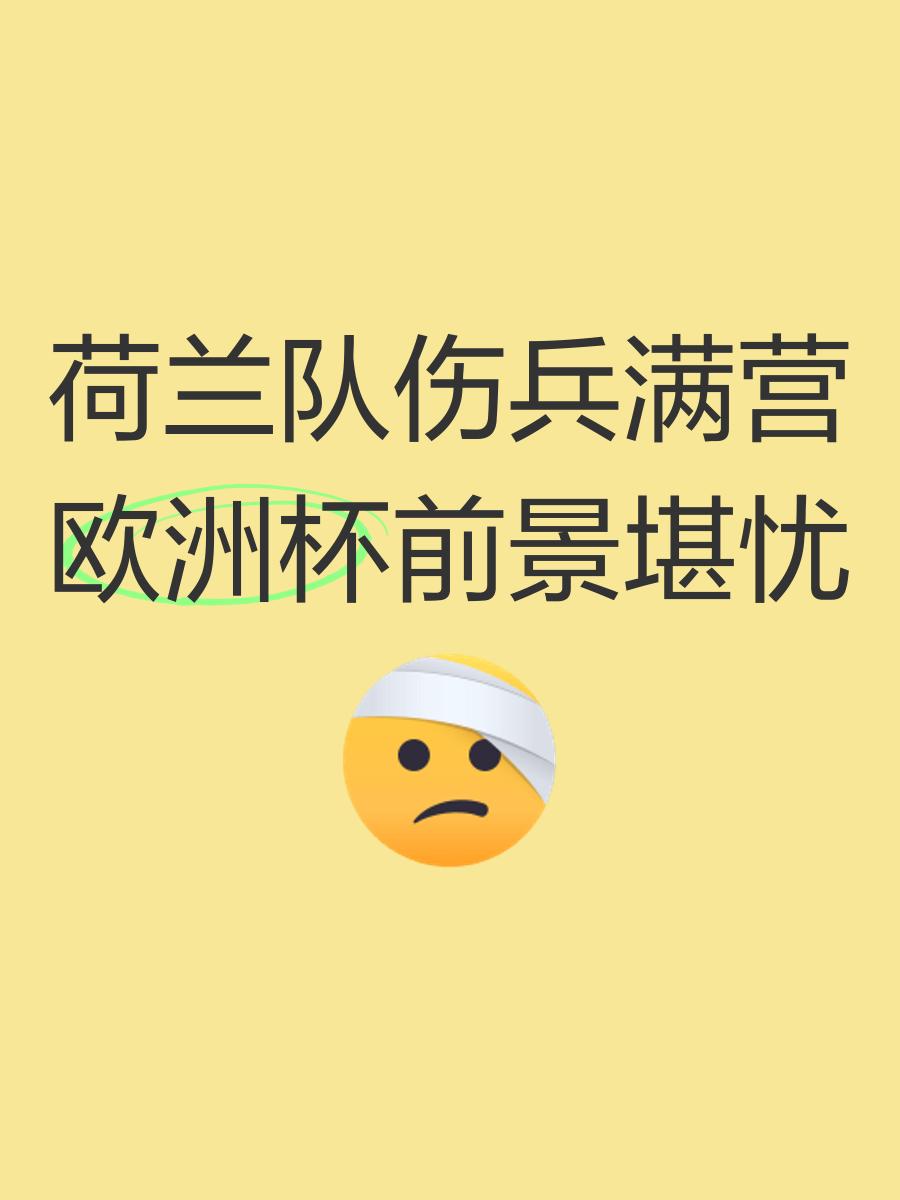 荷兰遭遇波兰，欧洲杯资格前景一片未卜的简单介绍