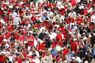 乐鱼体育登录入口-重庆主场惊艳亮相，观众尽赞其表现